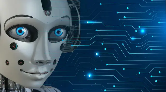 Meilleur robot de cuisine économique : Guide d'achat